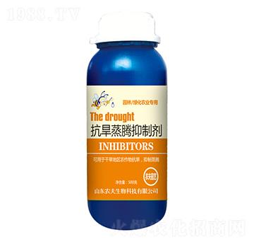 �������v���Ƅ�-�r������