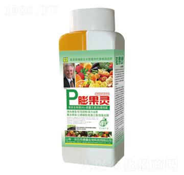 ����`�~���-��������