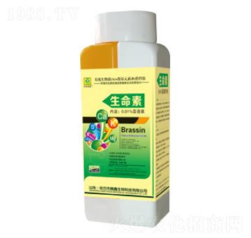 ������-��������