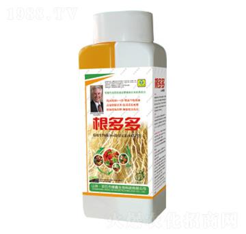 ������~���-��������