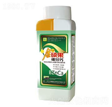 ���\�}�~���-��T��-��������