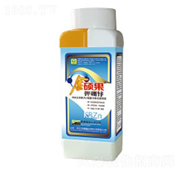 ����\�~���-��T��-��������