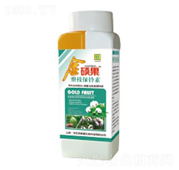 �޻���֦�����-��T��-��������