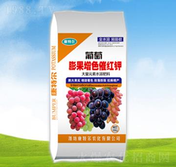 ���������ɫ�߼t�-���ؠ��r(n��ng)��