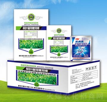 ���~��ѿ��ѿ��-���ؠ��r(n��ng)��