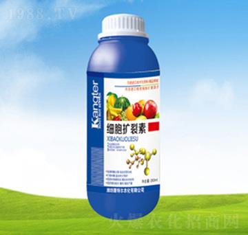 �����U����-���ؠ��r��