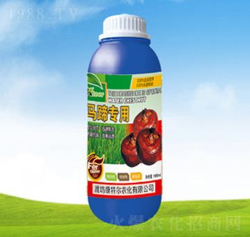 �R�㌣�þ�Ʒ�~���-���ؠ��r��