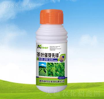 ƿ�b���~��ѿ���h-���ؠ��r��