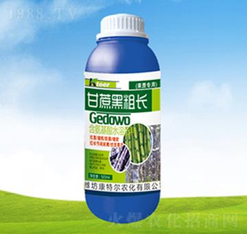 ����ڴ��L(zh��ng)-���ؠ��r(n��ng)��