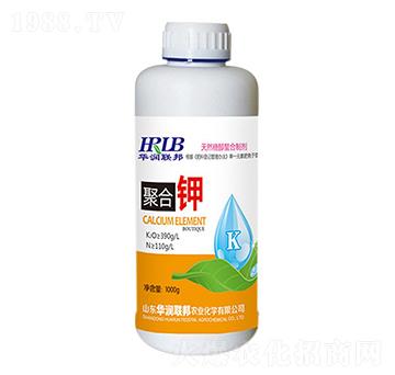 �ۺ��-�A��(r��n)�s��