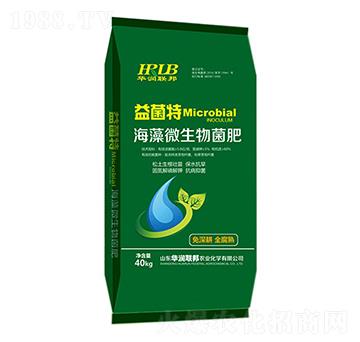 ����΢�������-�����-�A���s��