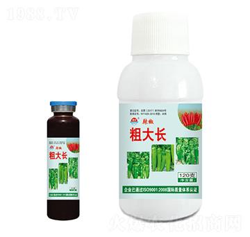 ������ˮ�ܷ���-�����ִ��L-���r(n��ng)�挚