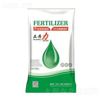 ������-���P�(y��ng)