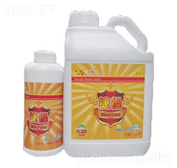 �ݏ�-���|���r(n��ng)�I(y��)