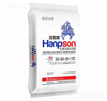 20kg�h��ɭ����Ԫ��ˮ�ܷ�20-20-20+TE-������