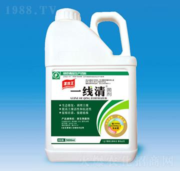 �������-���x(ch��ng)��-�N������