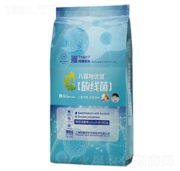 ����؃�(y��u)�����ž���-�ؿ�����