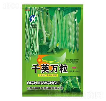 ���(l��i)�����~���-ǧ�v�f(w��n)��-����ţ