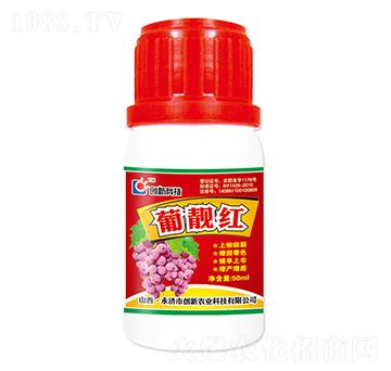 50ml���n�t�~���-��(chu��ng)�¿Ƽ�