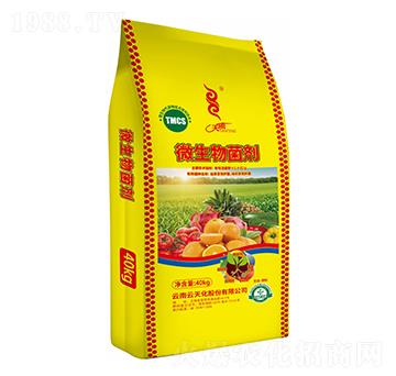 ΢�������-���v-���컯�r(n��ng)�Y