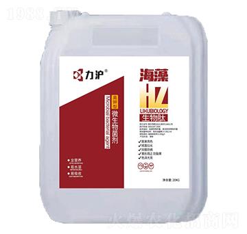 �����΢�������-��������