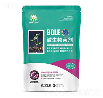 ΢�������-��������