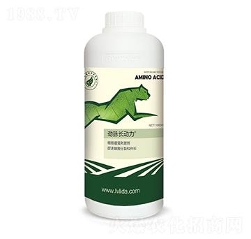 ��(x��)������(qi��ng)�̼���-���}�L(zh��ng)��(d��ng)��-�G���_(d��)