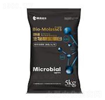 ���۵���-��������