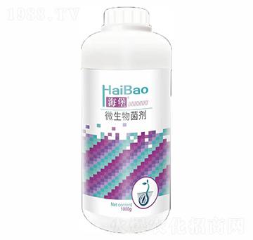 1000g΢�������-����-����(r��n)��