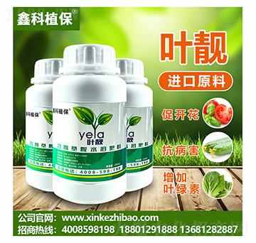 �~�n��������ˮ�ܷ���-�ο�ֲ��