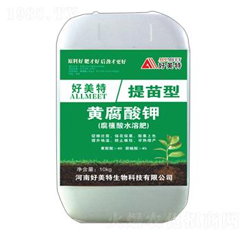 �������S�����-������