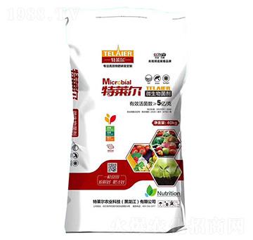 40kg΢�������-���R��-���r(n��ng)