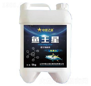 ΢�������-�~(y��)����-��΢֮��