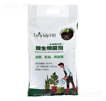 (�ٸ��w����)΢�������-������