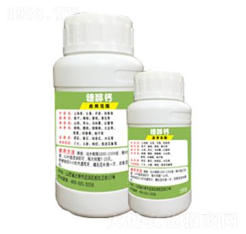 �Ǵ��}-�G�̿�-�x����