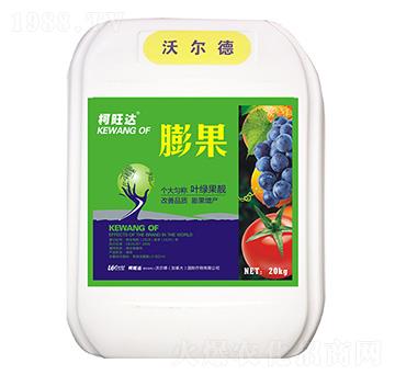 ���-�����_(d��)-�֠����r(n��ng)