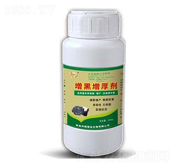 ��ЦЦ����������-���_����