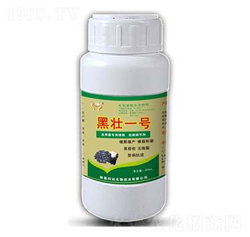 ��ЦЦ���ډ�һ̖-���_����