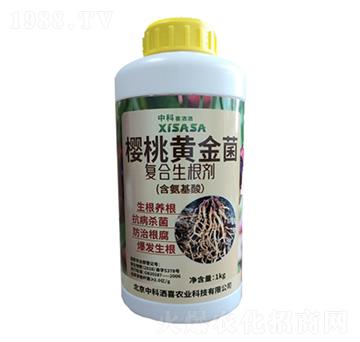 ���Ҍ����S�����(f��)��������-�пƞ�ϲ