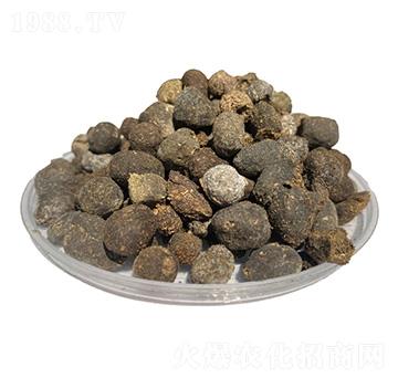 �F�ݾ���-�����ʘI(y��)