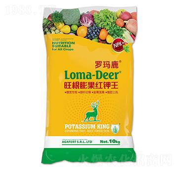 ��������t���-�_��¹-���L