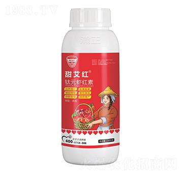 �Ԫ�r�t��-�𰬼t-������r(n��ng)