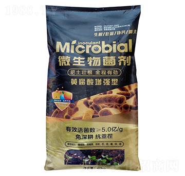 �S���������(qi��ng)��΢�������-�Z�鱾�r(n��ng)�I(y��)