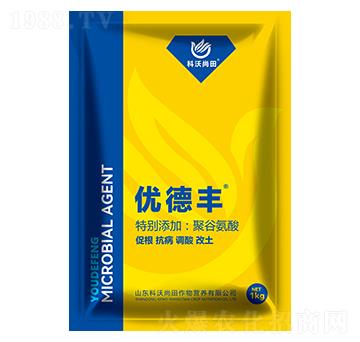 �۹Ȱ���ˮ�ܷ���-��(y��u)���S-��������