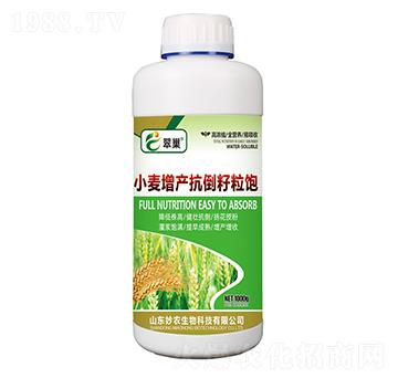 С�����a���������-�䳲-���r����