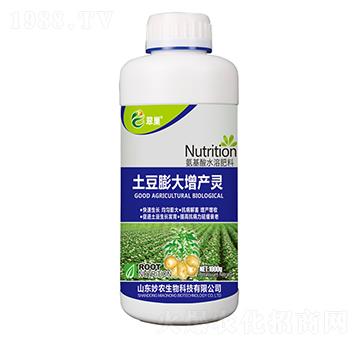 ����������a�`-�䳲-���r����