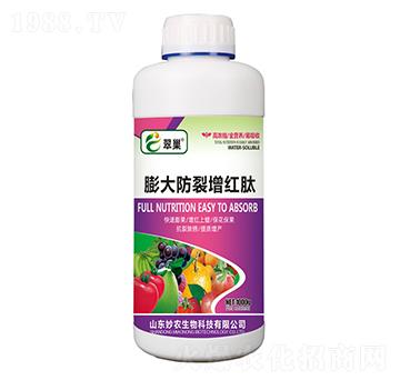 ���������t��-�䳲-���r����