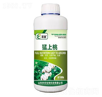 ������-�䳲-���r����