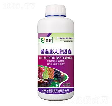 �������������-�䳲-���r����