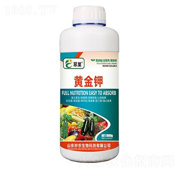 �S���-�䳲-���r����